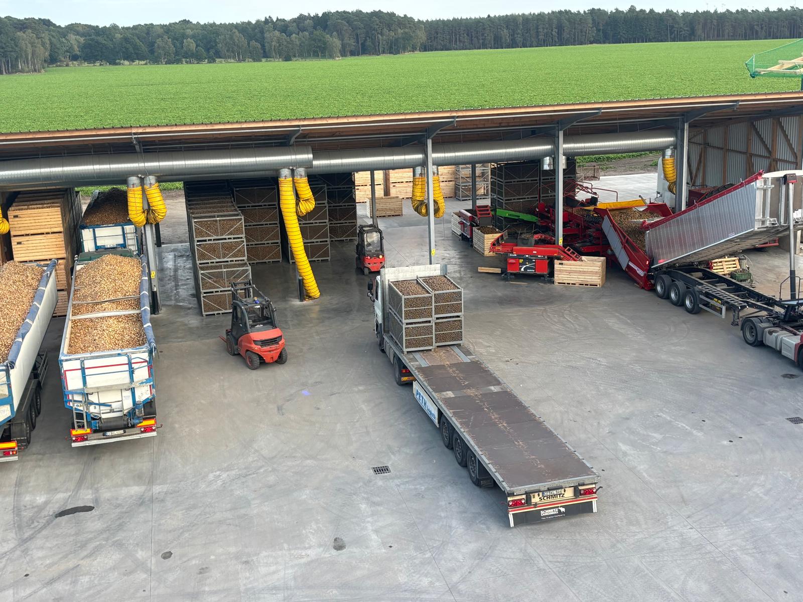 Kartoffelhalle mit Belüftung, Kistenlager und Verladung