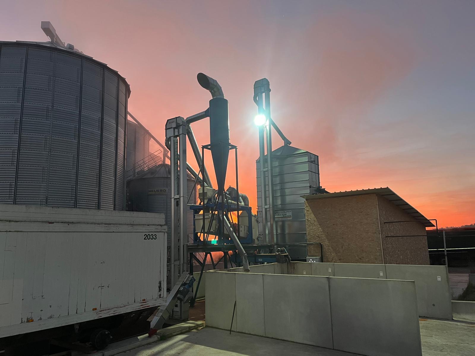 Getreidesilos und Trocknungsanlage im Sonnenuntergang